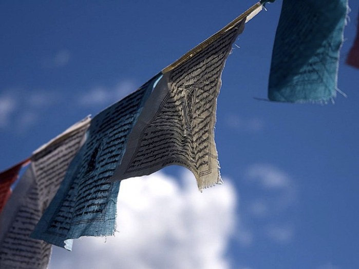 Thank you public-domain-image.com!